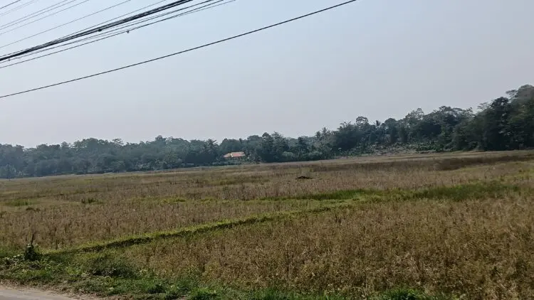 Pemprov Banten Bakal Tambah Anggaran AUTP Tahun 2027
