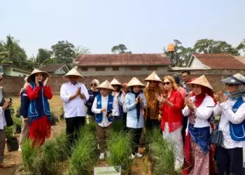 KUNJUNGAN -- Gerakan Perempuan Pangan dalam Rangka Launching Kampung Holtikultura, dengan tagline ”Perempuan berdaya, ketahanan pengan terjaga" di Kebun Greenlight, Desa Suka Bares, Kecamatan Waringin kurung, Kabupaten Serang Sabtu (22/8/2026). (ISTIMEWA)