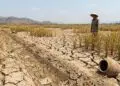 Ribuan Hektare Sawah di Banten Terdampak Kekeringan, 223 Ha Puso