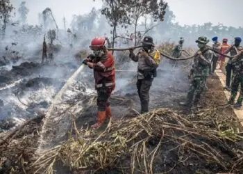 335 Wilayah Konsesi Terbakar, Hotspot Terbanyak di Kalimantan