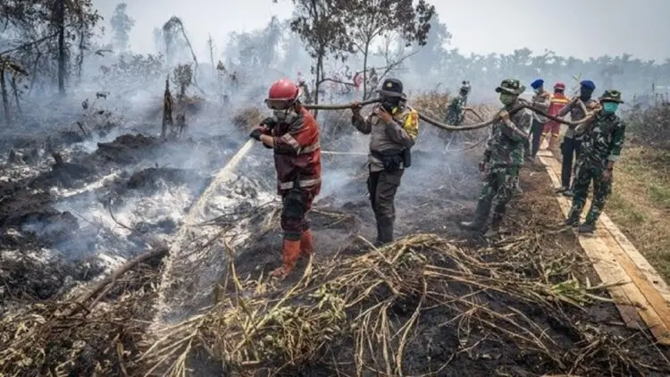 335 Wilayah Konsesi Terbakar, Hotspot Terbanyak di Kalimantan