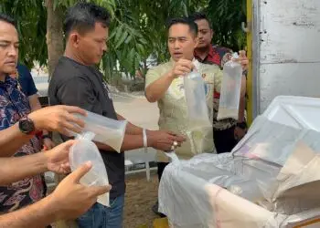 MENGAMANKAN BBL : Ratusan Ribu BBL dan satu tersangka dugaan penyelundupan BBL, diamankan di Mapolda Banten. (ISTIMEWA)