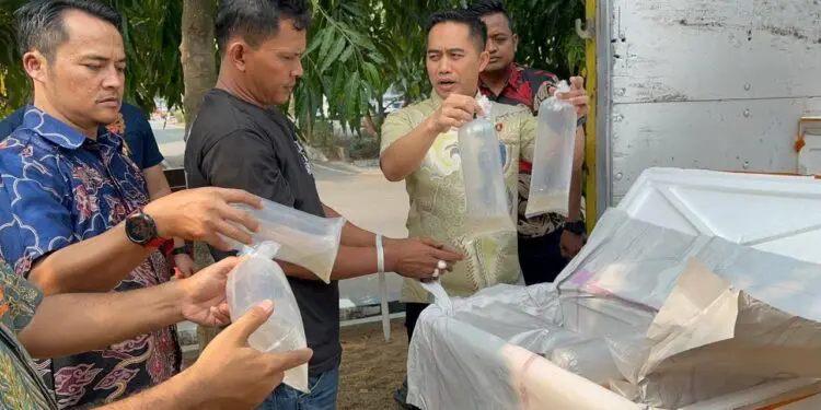 MENGAMANKAN BBL : Ratusan Ribu BBL dan satu tersangka dugaan penyelundupan BBL, diamankan di Mapolda Banten. (ISTIMEWA)