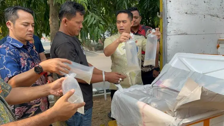 MENGAMANKAN BBL : Ratusan Ribu BBL dan satu tersangka dugaan penyelundupan BBL, diamankan di Mapolda Banten. (ISTIMEWA)