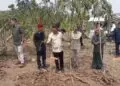 BERBINCANG -- Gubernur Banten Andra Soni, saat berbincang dengan warga, usai melakukan tasyakuran dan panen Singkong, di Kecamatan Cimarga, Kabupaten Lebak, Kamis (10/9/2026). (MULYANA/SATELITNEWS.COM)