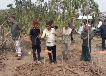 BERBINCANG -- Gubernur Banten Andra Soni, saat berbincang dengan warga, usai melakukan tasyakuran dan panen Singkong, di Kecamatan Cimarga, Kabupaten Lebak, Kamis (10/9/2026). (MULYANA/SATELITNEWS.COM)