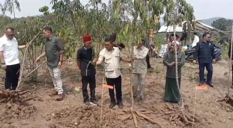 BERBINCANG -- Gubernur Banten Andra Soni, saat berbincang dengan warga, usai melakukan tasyakuran dan panen Singkong, di Kecamatan Cimarga, Kabupaten Lebak, Kamis (10/9/2026). (MULYANA/SATELITNEWS.COM)