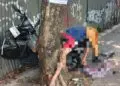 Setting Sepeda Motor, Mekanik Tewas Usai Tabrak Pohon di Pamulang
