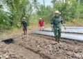 PENDAMPINGAN -- Jajaran Koramil 0103/Banjar Kodim 0601/Pandeglang, melakukan kegiatan Komunikasi Sosial (Komsos) sekaligus silaturahmi dan pendampingan pembuatan serta pemupukan pertama tanaman melon, di Desa Bandung, Kecamatan Banjar, Kabupaten Pandeglang. (ISTIMEWA)