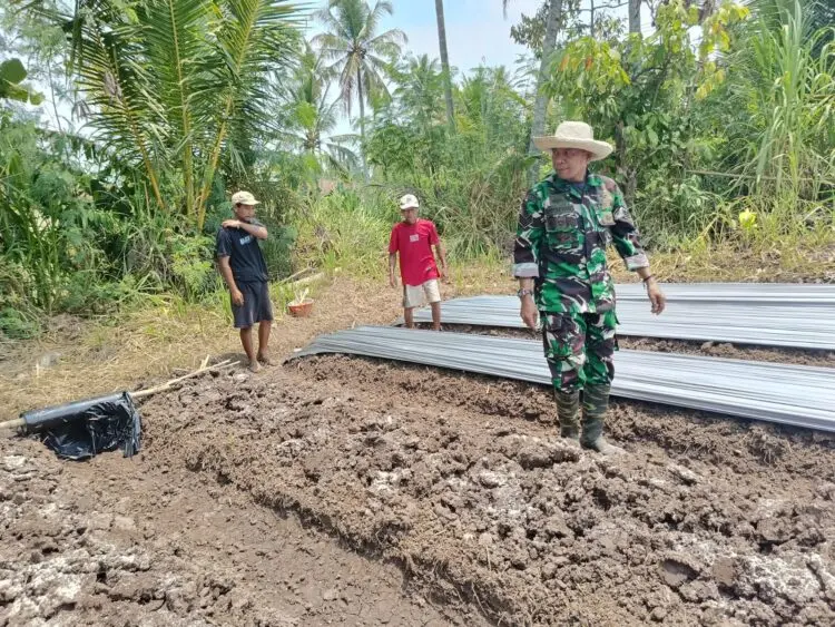 PENDAMPINGAN -- Jajaran Koramil 0103/Banjar Kodim 0601/Pandeglang, melakukan kegiatan Komunikasi Sosial (Komsos) sekaligus silaturahmi dan pendampingan pembuatan serta pemupukan pertama tanaman melon, di Desa Bandung, Kecamatan Banjar, Kabupaten Pandeglang. (ISTIMEWA)
