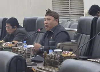 MENYAMPAIKAN USULAN : Anggota DPRD Banten Musa Weliansyah menyampaikan usulan terkait besaran Tukin. (ISTIMEWA)