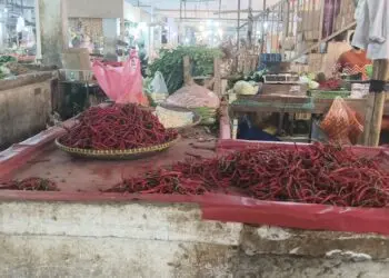 Harga Cabai di Tigaraksa Melambung, Rawit Merah Capai Rp85 Ribu