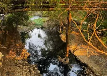 Sungai Cimanceuri Diduga Tercemar Limbah Industri, Air Menghitam dan Berbau Menyengat