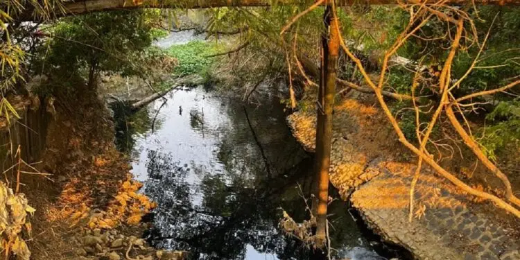 Sungai Cimanceuri Diduga Tercemar Limbah Industri, Air Menghitam dan Berbau Menyengat