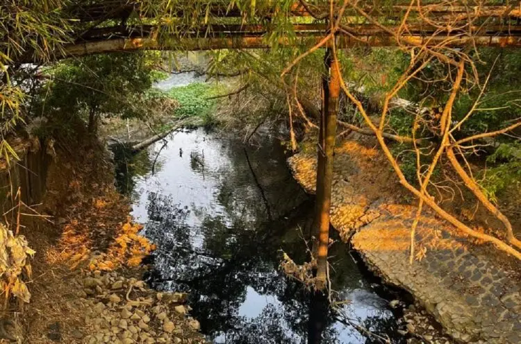 Sungai Cimanceuri Diduga Tercemar Limbah Industri, Air Menghitam dan Berbau Menyengat