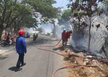 Cuaca Panas dan Angin Kencang, BPBD Kota Tangerang Tangani Lima Kebakaran