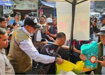 Beras Langka di Pasar Modern, Pemerintah Gelontorkan 110 Ribu Ton