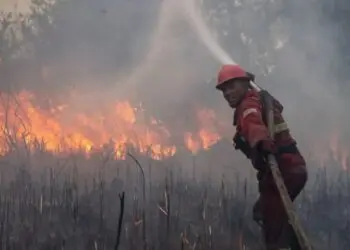 Jumlah Hot Spot Turun, 50 Badan Usaha Disegel