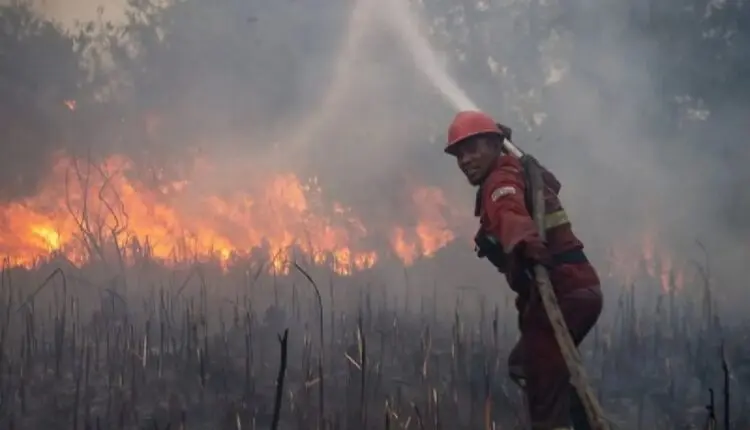 Jumlah Hot Spot Turun, 50 Badan Usaha Disegel