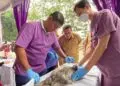 Cegah Rabies, Pemkab Tangerang Gelar Vaksinasi Hewan Gratis