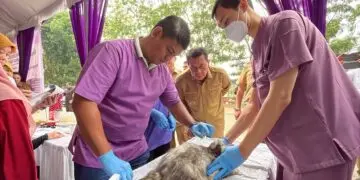 Cegah Rabies, Pemkab Tangerang Gelar Vaksinasi Hewan Gratis