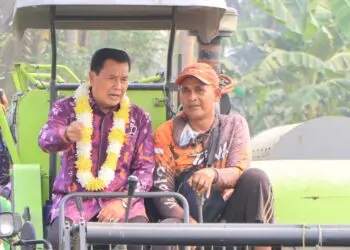 Panen Padi di Mauk, Bupati Tangerang Salurkan Bantuan Pertanian