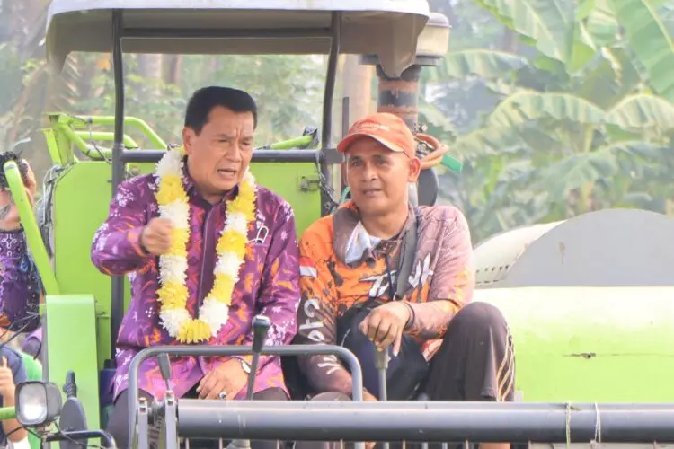 Panen Padi di Mauk, Bupati Tangerang Salurkan Bantuan Pertanian
