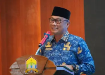 BKN Bahas Skema Pengalihan Gaji PPPK ke Pusat