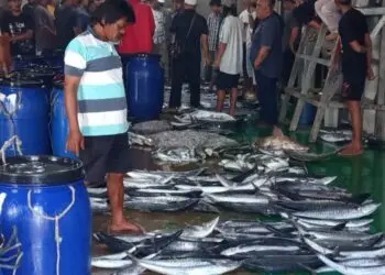 MELELANG IKAN : Sejumlah nelayan melelangkan ikan di TPI Labuan 2 atau TPI Higienis. Hingga saat ini, jumlah produksi perikanan tangkapasih rendah dibandingkan produksi perikanan budidaya. (ISTIMEWA)