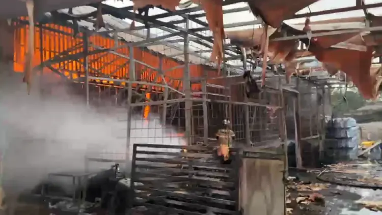 Gudang Sembako dan Rumah Makan Terbakar di Sepatan, Korsleting Diduga Penyebabnya