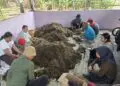 Tingkatkan Produksi Padi, DPKP Kabupaten Tangerang Gandeng BRIN