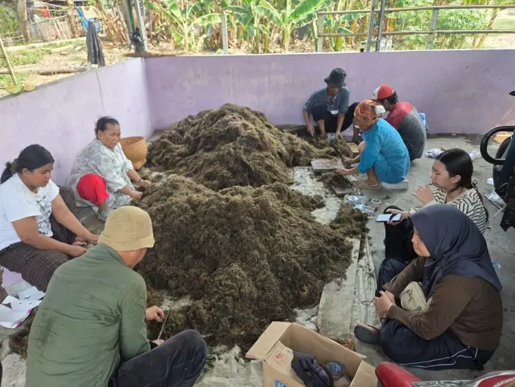 Tingkatkan Produksi Padi, DPKP Kabupaten Tangerang Gandeng BRIN