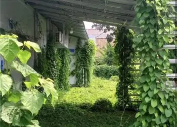 Dapur MBG Polri di Lebak Ditumbuhi Rumput Liar, Mobil Berdebu